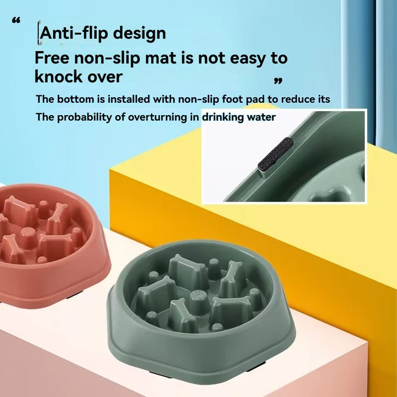 EcoPaws – Pet Food Bowl