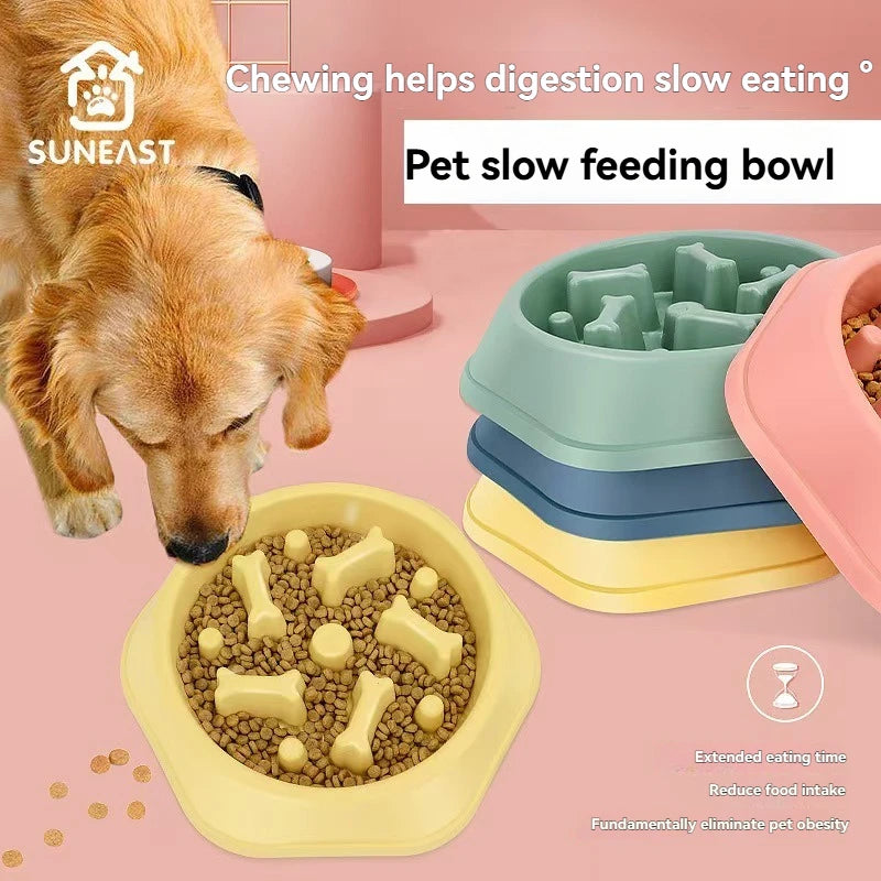 EcoPaws – Pet Food Bowl