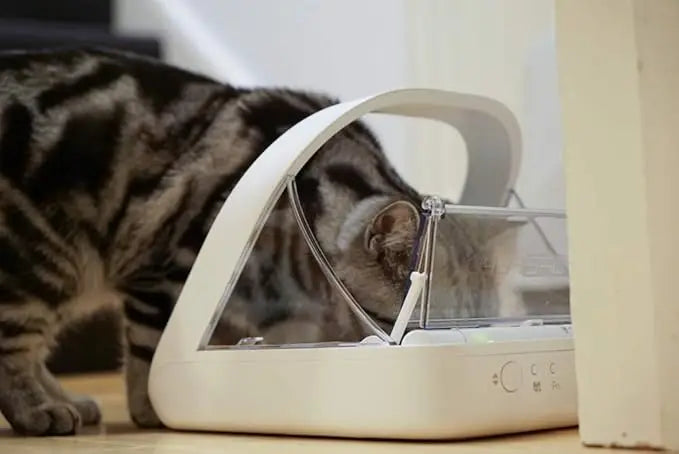 SmartPaws – Microchip Pet Feeder