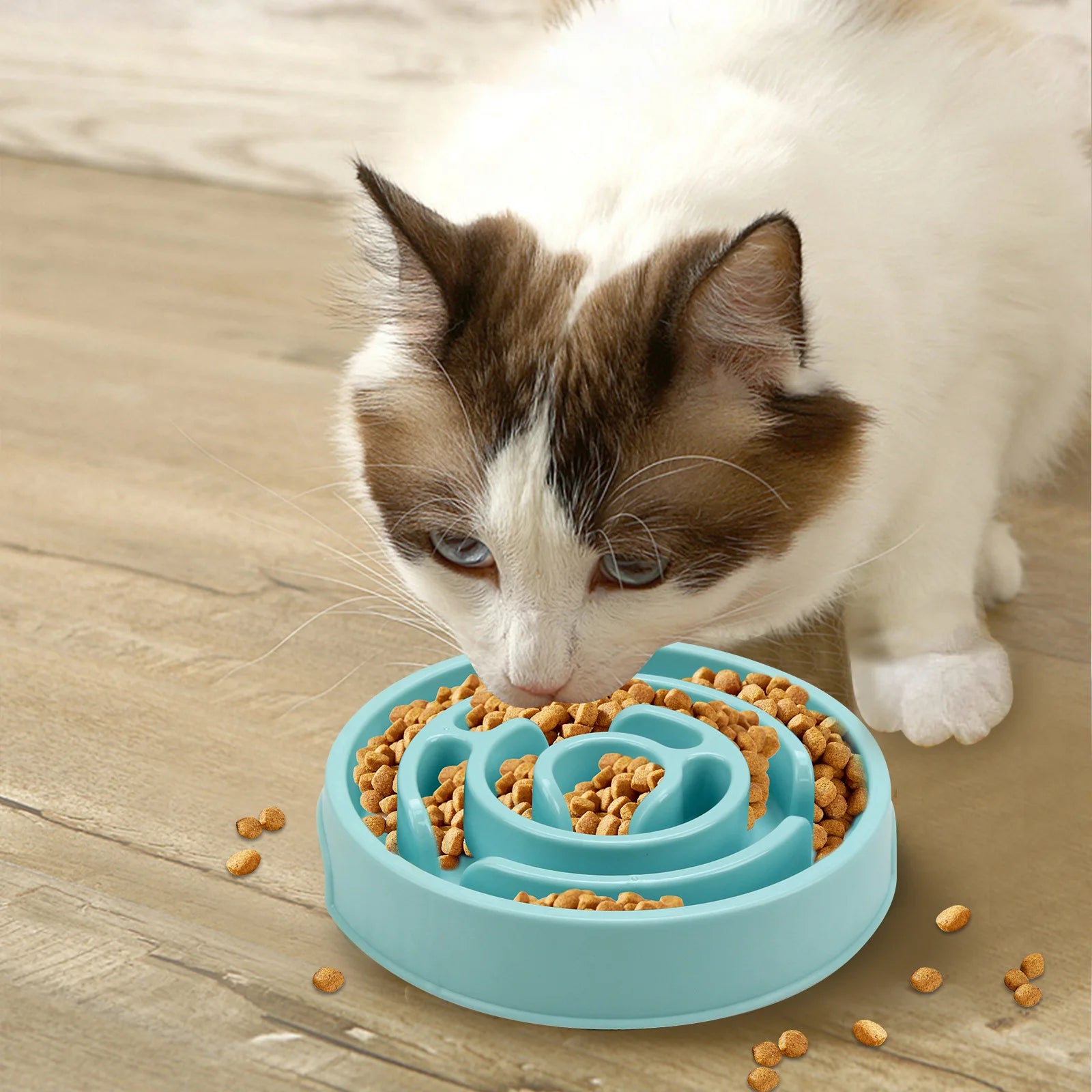 PawFeast – Slow Feed Bowl